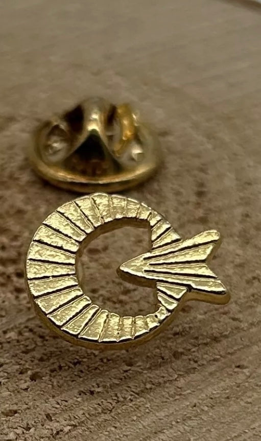 Ay yildiz Türkei Mond & Stern Anstecknadel-Pin Gold – AYYILDIZ Yaka Rozeti