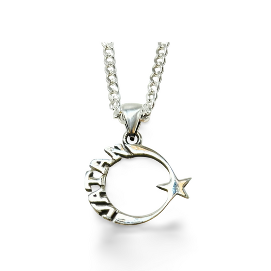 AY YILDIZ Anhänger mit 50 cm Panzerkette – 925 Sterling Silber | Halbmond Stern Halskette | Vatan Herrenschmuck